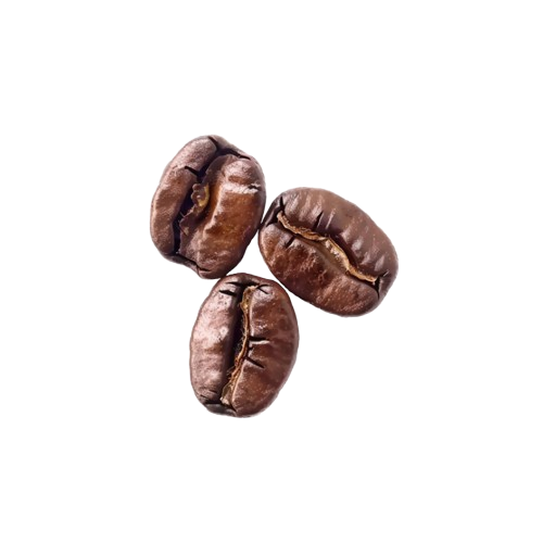 hd-three-roasted-brown-coffee-beans-transparent-png-701751711555562z9rdp1ifa5-removebg-preview